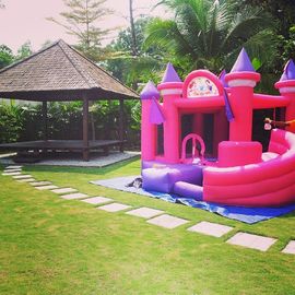 Princesa rosada Inflatable Bouncy Castle, castillos de salto inflables para el partido de la muchacha
