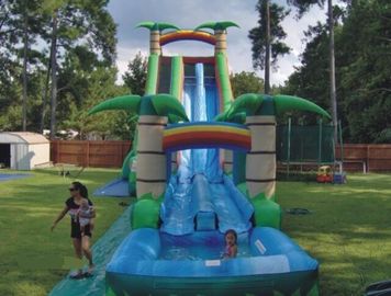 Resbalón y diapositiva dobles inflables azules y verdes con la piscina 30 Foott alto para el parque