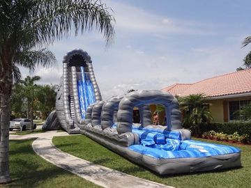 Resbalón y diapositiva dobles inflables azules y verdes con la piscina 30 Foott alto para el parque
