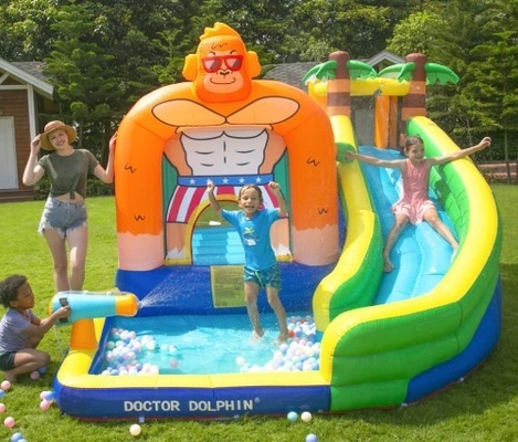 Diapositiva del doctor Dolphin Inflatable Water para la casa de la despedida del agua del niño con la piscina del chapoteo