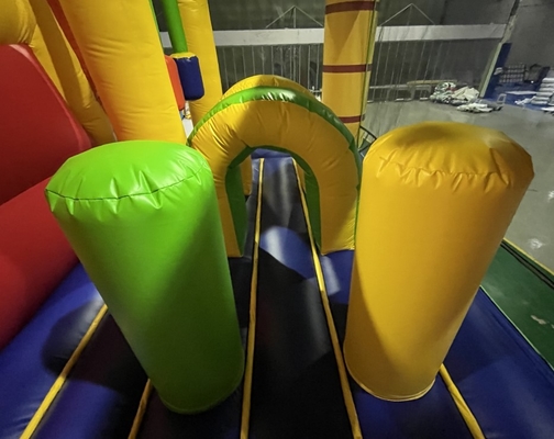 Casa de salto inflable Lion Design de los castillos animosos inflables de la lona del PVC