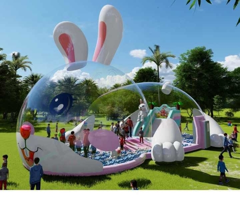 El cerdo inflables para el patio de juegos Palacio de cristal Tienda de burbuja transparente con pelota del océano