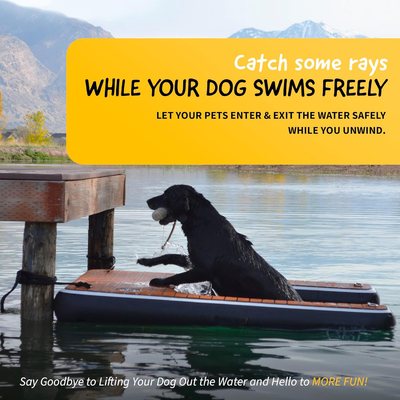 Logotipo personalizado Dock flotante inflable DWF PVC lona de agua Rampa inflable para perros para nadar