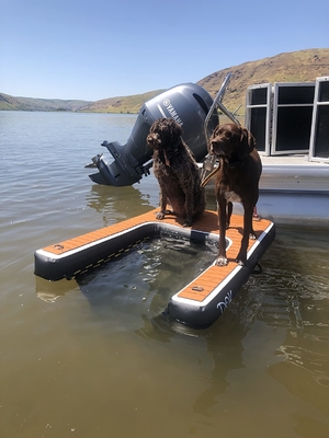 Rampa de perro plegable ajustable portátil Rampa de muelle de perro inflable Escalera Mascotas Rampa de perro para piscinas, lagos, barcos y muelles