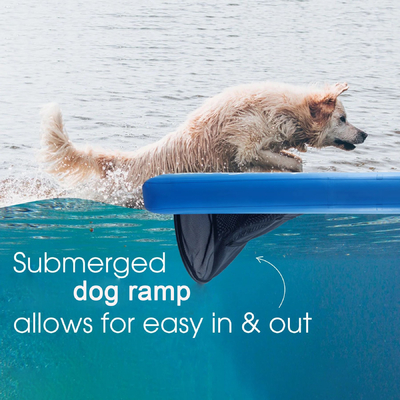 Perro pequeño flotante de aire libre escalera inflable escalera de perro rampa para perros perros mascotas salir del agua