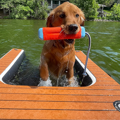 Perros Juego de agua Inflable Perrito Planca Perro Rampa Rampa mascota Planca plataforma flotante para la venta Rampa Inflable Perro