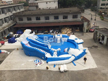 Parque inflable del agua del oso asombroso al aire libre con el azul y el blanco de la diapositiva