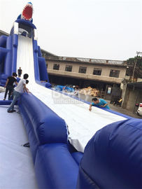 La diapositiva inflable larga aguda gigante comercial del resbalón N para los niños/la aguamarina adulta parquea