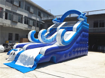 La pequeña diapositiva inflable azul del delfín con el material del PVC/explota la pared que sube