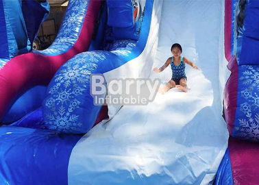 tobogán acuático inflable congelado PVC de 0.55m m con la piscina/el juego gigante del parque del agua de la diversión