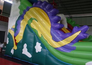 Diapositiva inflable comercial de Trippo del dragón con la lona durable del PVC de Platón