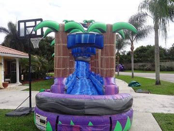 Los toboganes acuáticos inflables del paraíso púrpura con la piscina/inflable adulto mojaron la diapositiva