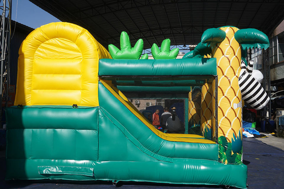 Castillo animoso de salto inflable de la casa de la lona de los niños combinado con la diapositiva