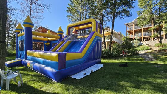 Castillo inflable de PVC para niños / Casa de rebote divertida
