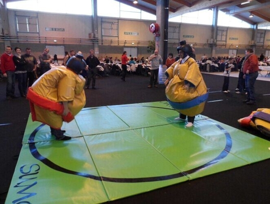 La lucha de sumo inflable de la lona se adapta a juegos interactivos del deporte