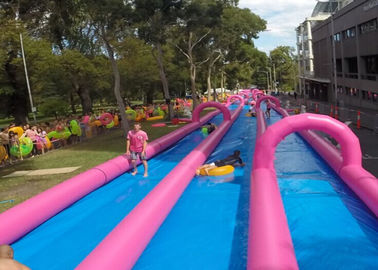 Carril doble inflable comercial enorme del resbalón y de la diapositiva en rosa