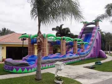 Los toboganes acuáticos inflables del paraíso púrpura con la piscina/inflable adulto mojaron la diapositiva
