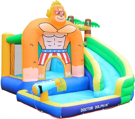 Diapositiva del doctor Dolphin Inflatable Water para la casa de la despedida del agua del niño con la piscina del chapoteo