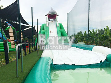 Tamaño modificado para requisitos particulares tobogán acuático inflable gigante profesional del hipopótamo con la piscina de agua
