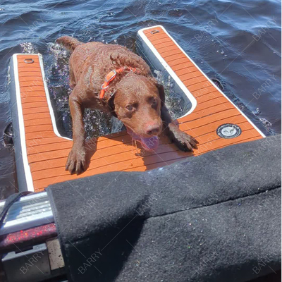 Logotipo personalizado aceptado plegable Inflable Escalera de perro Piscina para perros de maletero con kits de reparación accesorio