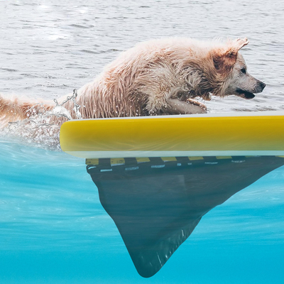 Rampa de agua inflable extra grande para botes, piscina para perros Rampa inflada ligera para perros Escalera suave para perros, plataforma de trampolín