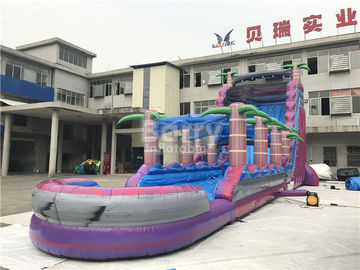 El adulto púrpura embroma los toboganes acuáticos inflables con la piscina, diapositiva del resbalón n