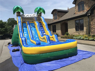 Diapositiva grande inflable tropical comercial del resbalón N del doble de los toboganes acuáticos con la piscina