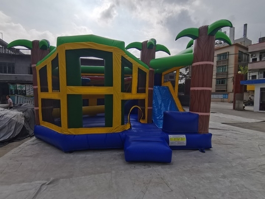 Diapositiva inflable colorida del castillo de la despedida del PVC de Platón combinada