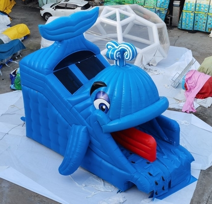 Patio trasero casero de los toboganes acuáticos del diseño inflable comercial de la ballena